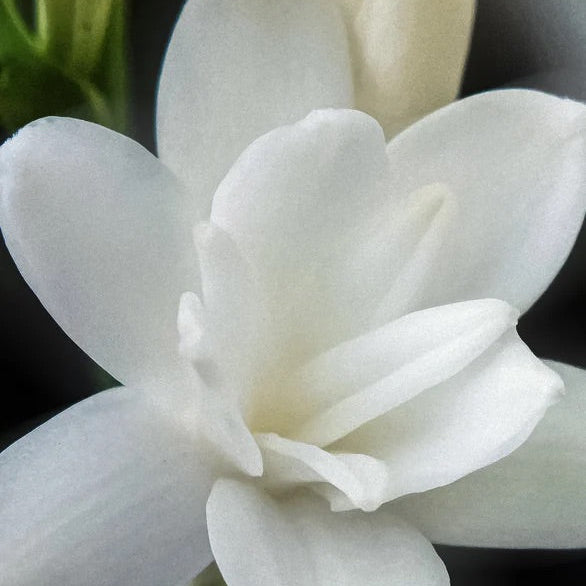 Intensives SOS Treatment mit Keratin - 170 ml