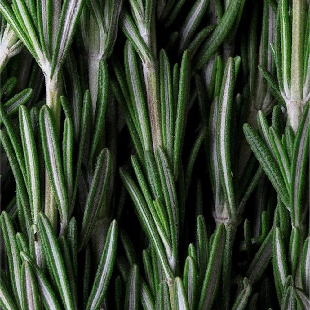 Stärkendes Rosmarin-Öl für Haar & Kopfhaut - 30 ml