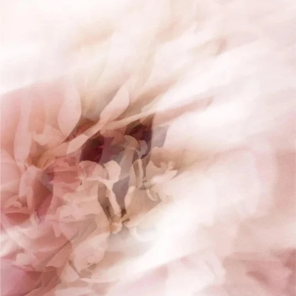 Mineralischer Sonnenschutz Stick, mit Tönung SPF50 - 12 g