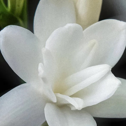 Intensives SOS Treatment mit Keratin - 170 ml