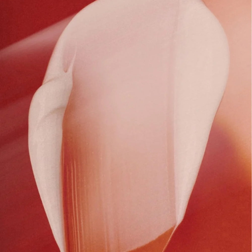 Reichhaltige Tagespflege mit Alteromonas Ferment Extrakt - 50 ml