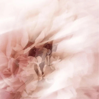 Leichte feuchtigkeitsspendende Tagespflege - 50 ml