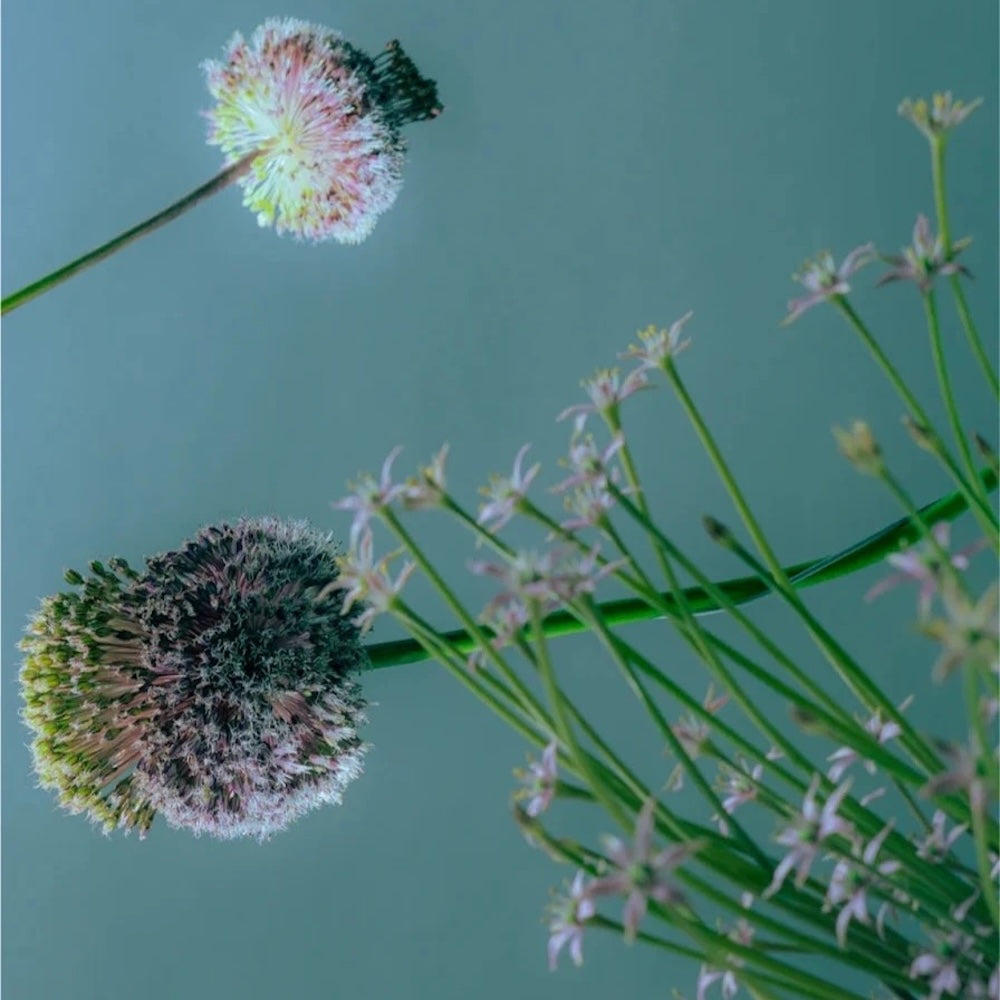 Mizellenreiniger - 200 ml