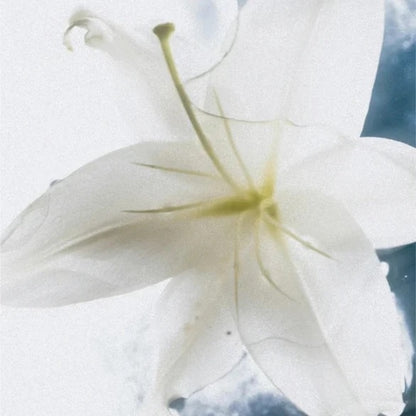 Körpercreme für empfindliche Haut - 190 ml