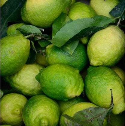 Gesichtsspray mit Mikrobiom- Prebiotika - 100 ml