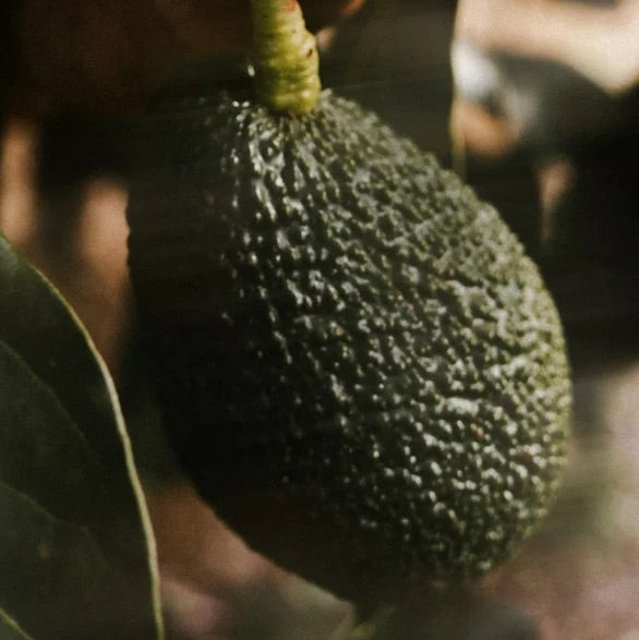 Intensives SOS Treatment mit Keratin - 170 ml