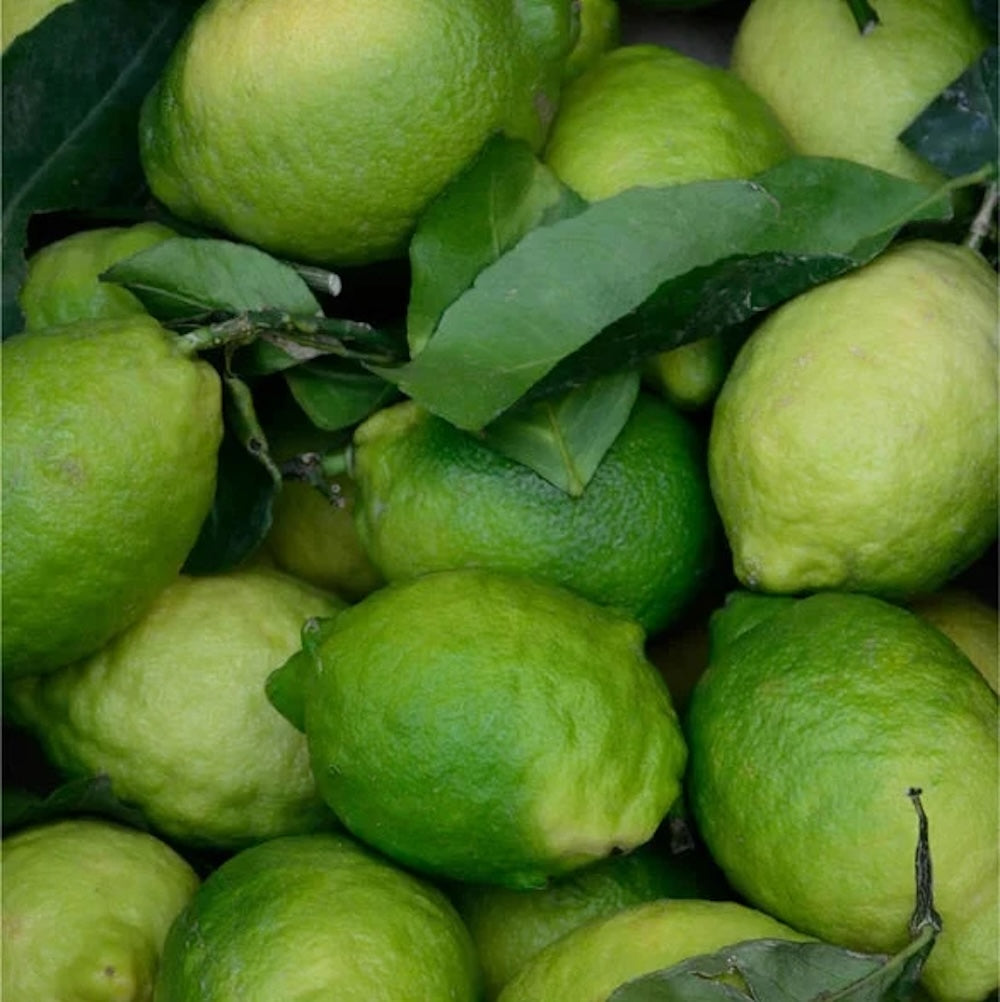 Renew & Glow - Face & Body Exfoliator mit Kojicsäure - 150 ml