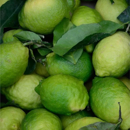 Renew & Glow - Face & Body Exfoliator mit Kojicsäure - 150 ml