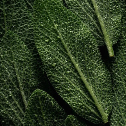 Keratin Volumen Conditioner - 390 ml