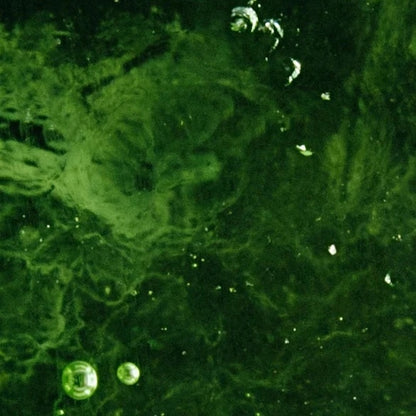 Ceramide Barriere Nachtcreme - 50 ml