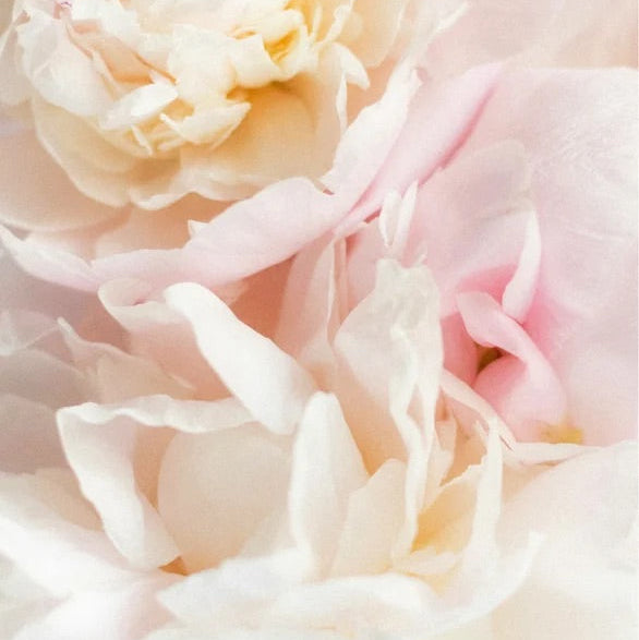 Sanftes Baby Waschgel - 390 ml