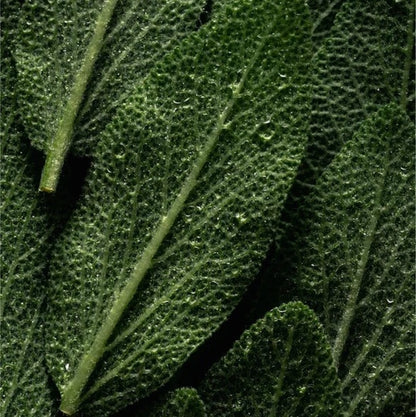 Gesichtsspray mit Mikrobiom- Prebiotika - 100 ml