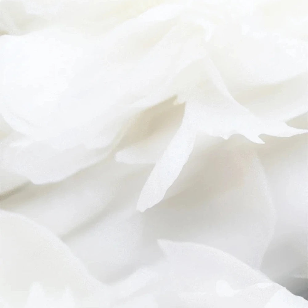 Shampoo für empfindliche Kopfhaut - 400 ml