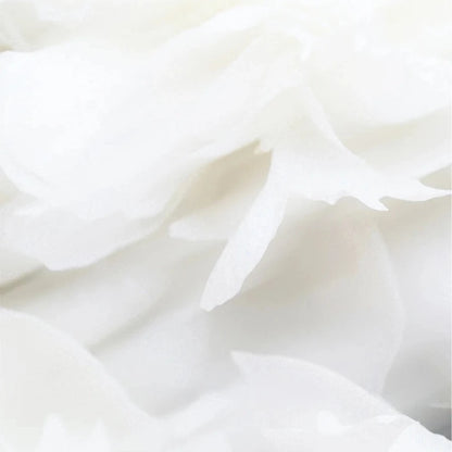 Shampoo für empfindliche Kopfhaut - 400 ml