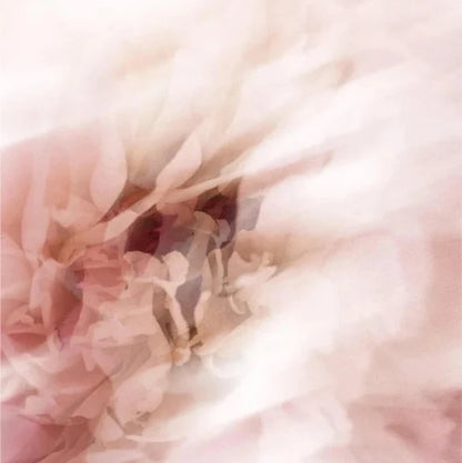 Mineralischer Sonnenschutz Stick, mit Tönung SPF50 - 12 g