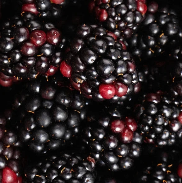 Sanfter Botanical Gesichtsreiniger - 145 ml