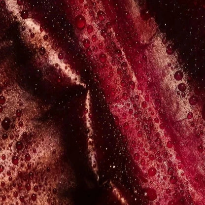 Reichhaltige Tagespflege mit Alteromonas Ferment Extrakt - 50 ml