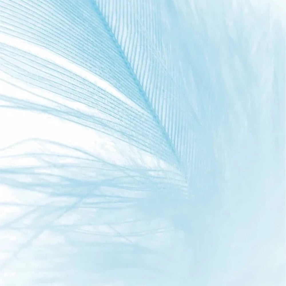 Feuchtigkeitspflege für empfindliche Haut, parfümfrei - 50 ml